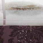 Roof Repair Services That Protect What Matters Most