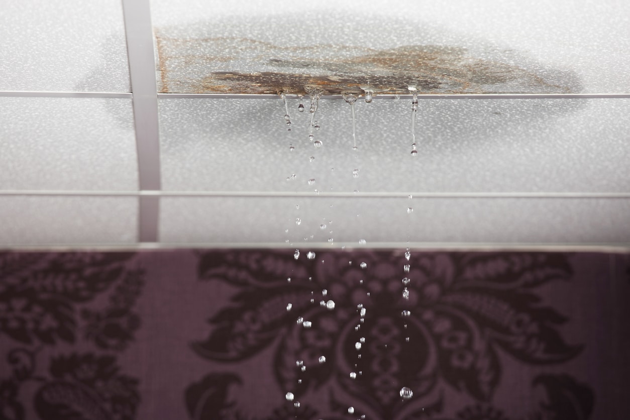 Read more about the article Roof Repair Services That Protect What Matters Most